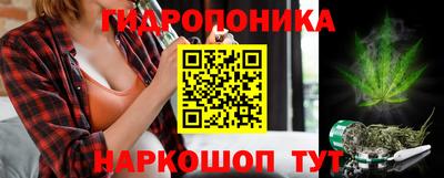 стаф Будённовск